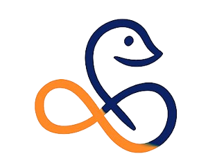 Learn Python. Earn Online. Build Real Projects